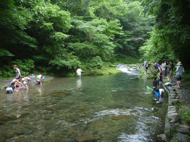 (Yt4) 1406044761.4.JPG