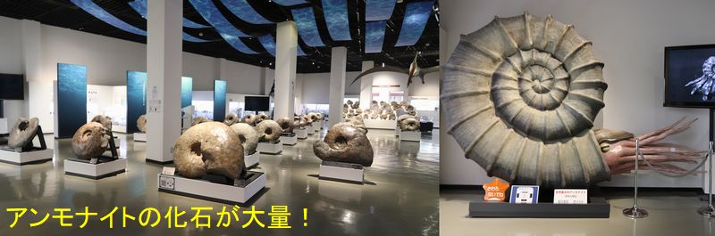 (Yt2) 1762945720.1.2.jpg