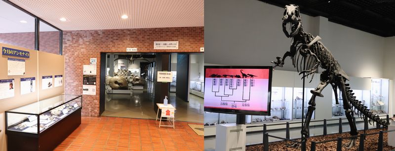 (Yt3) 1762945720.1.3.jpg