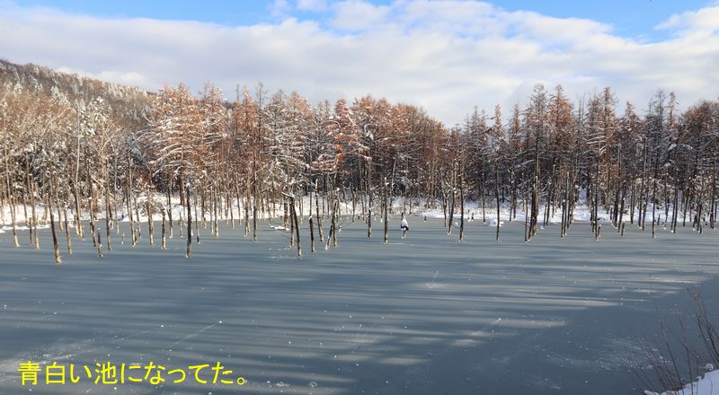 (Yt5) 1762945720.1.5.jpg