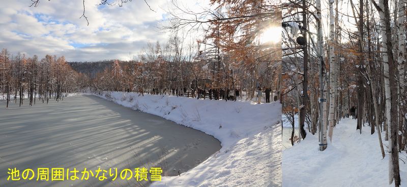 (Yt6) 1762945720.1.6.jpg