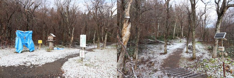 (Yt1) 1762945720.3.1.jpg