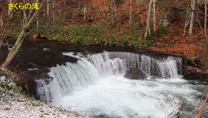 (Yt2) 1762945720.3.2.jpg