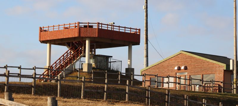 (Yt1) 1762945720.4.1.jpg