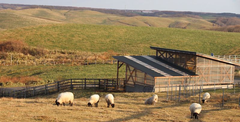 (Yt2) 1762945720.4.2.jpg