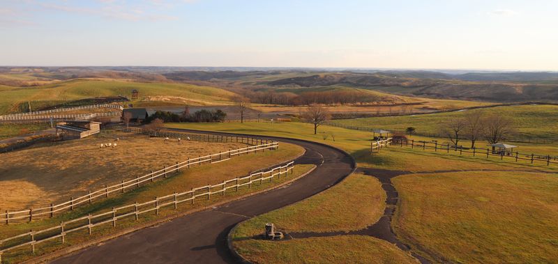 (Yt4) 1762945720.4.4.jpg