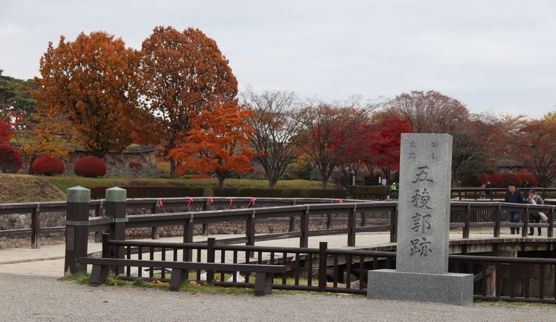 (Yt6) 1762945720.6.jpg