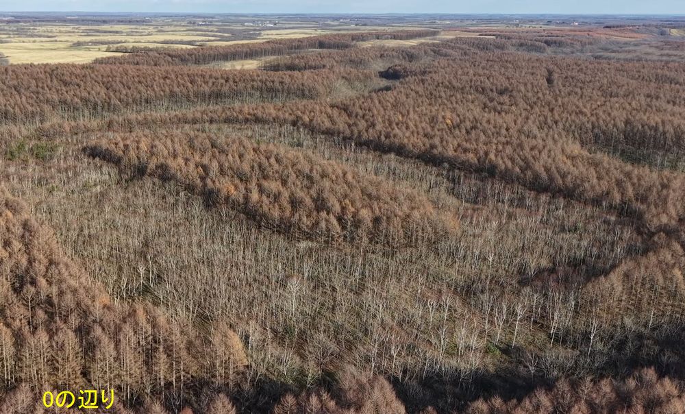 (Yt2) 1762945720.7.2.jpg