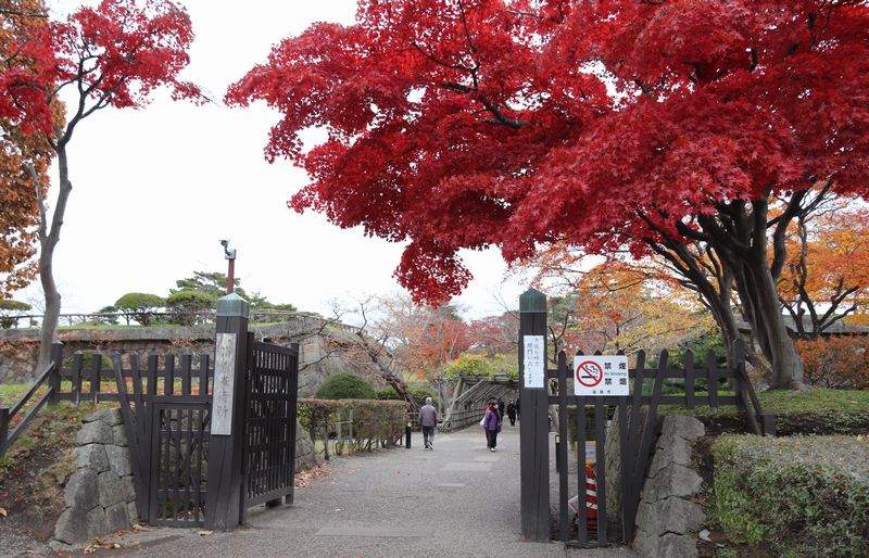 (Yt7) 1762945720.7.jpg