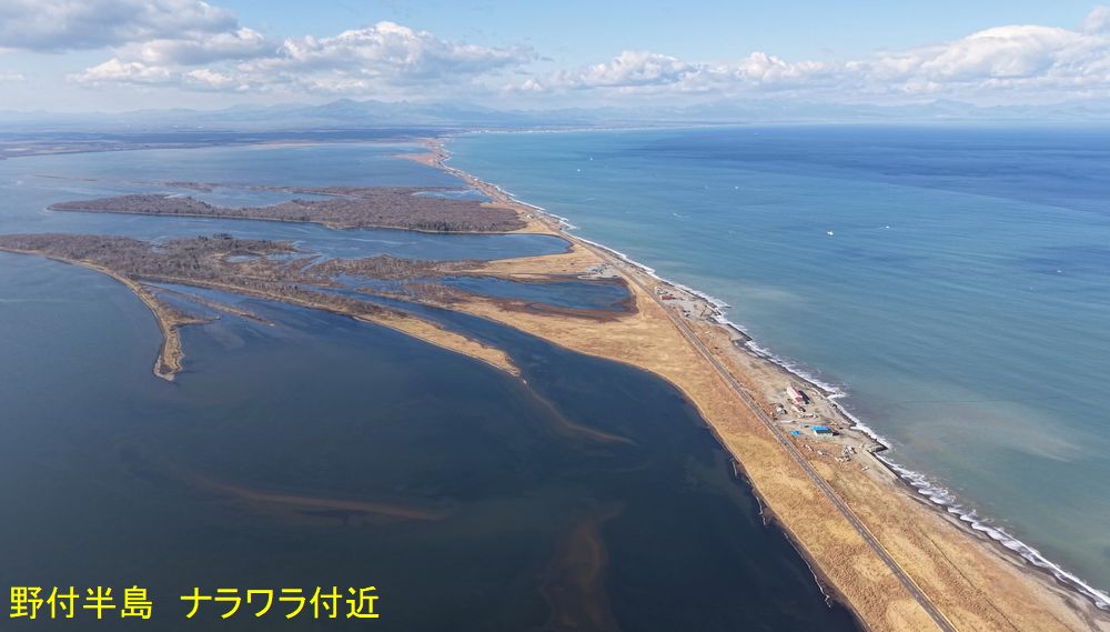 (Yt4) 1762945720.8.4.jpg