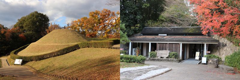 (Yt4) 1765363607.4.jpg