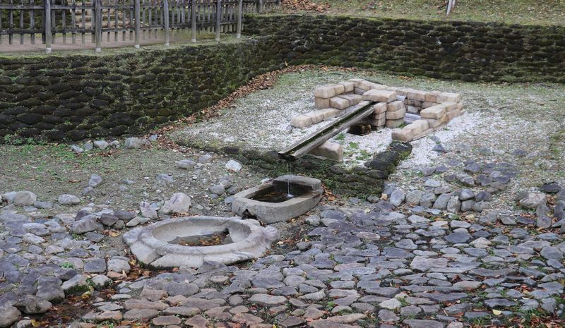 (Yt6) 1765363607.6.jpg