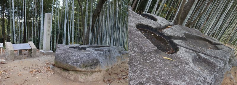 (Yt7) 1765363607.7.jpg