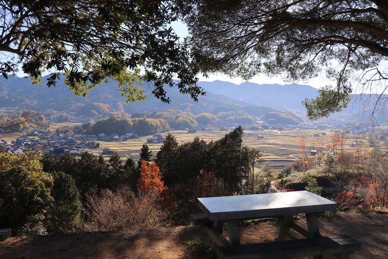 (Yt9) 1765363607.9.jpg