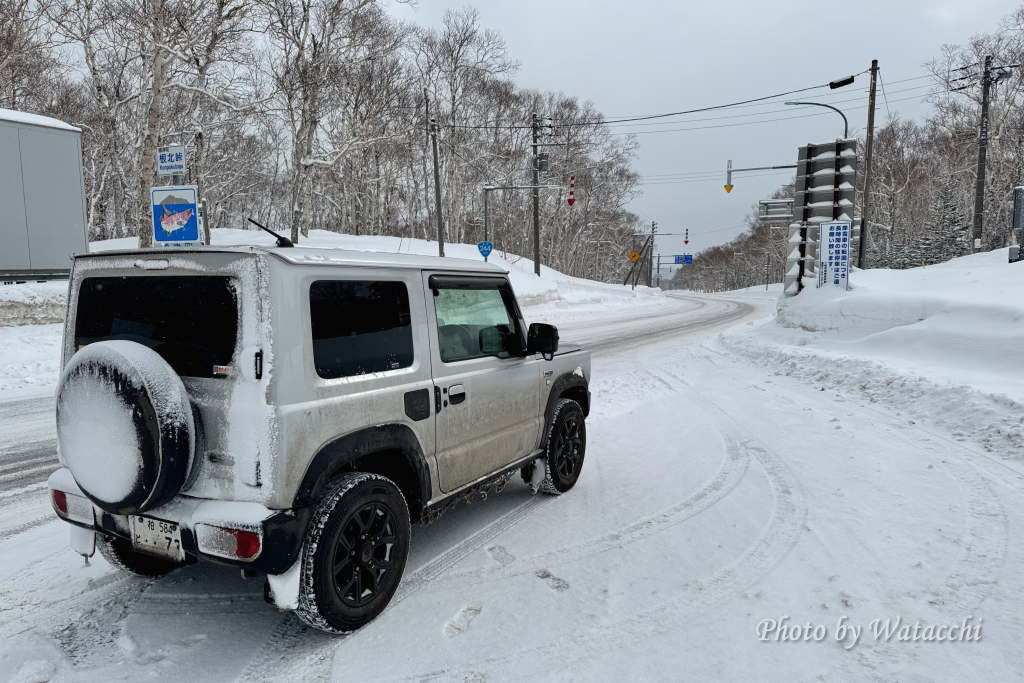 (�Y�t1) 1771899002.1.1.JPG