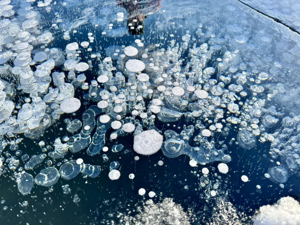 (�Y�t4) 1771899002.4.jpg