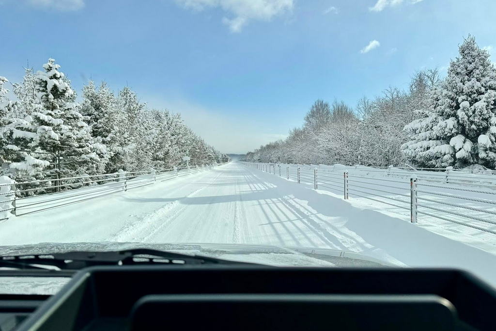 (�Y�t5) 1771899002.5.jpg