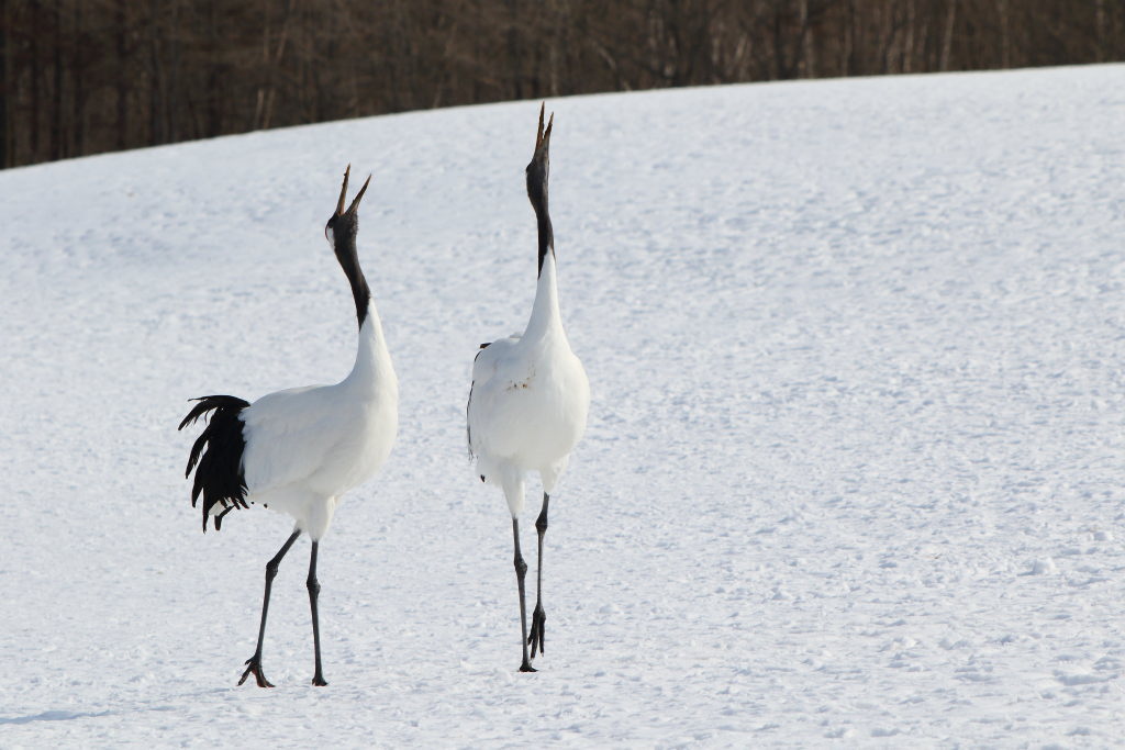 (�Y�t7) 1771899002.7.jpg