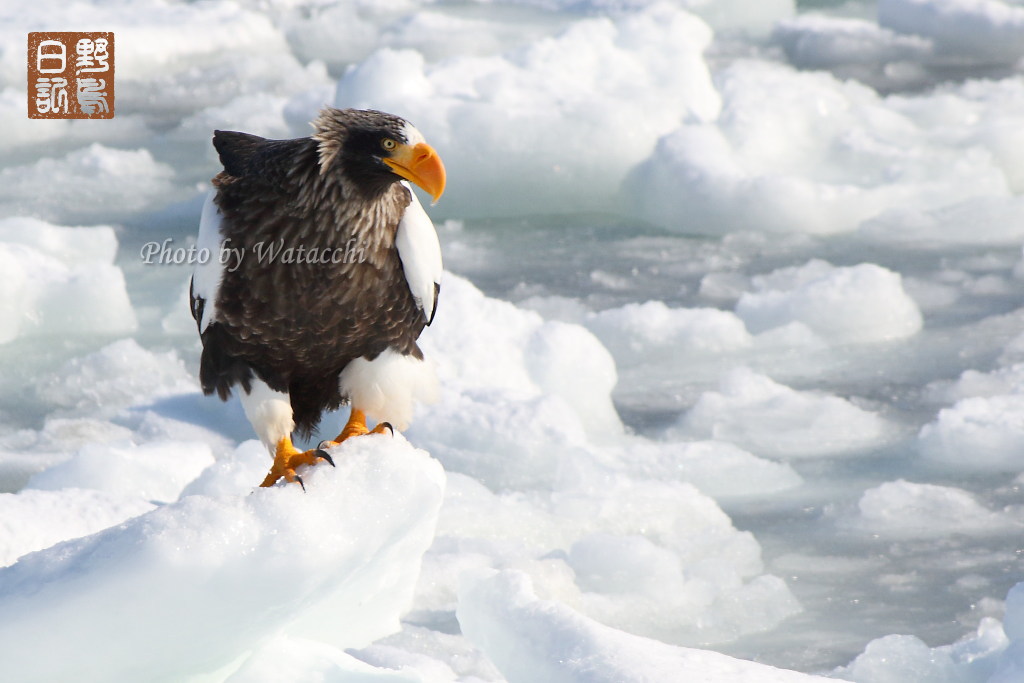 (�Y�t8) 1771899002.8.jpg